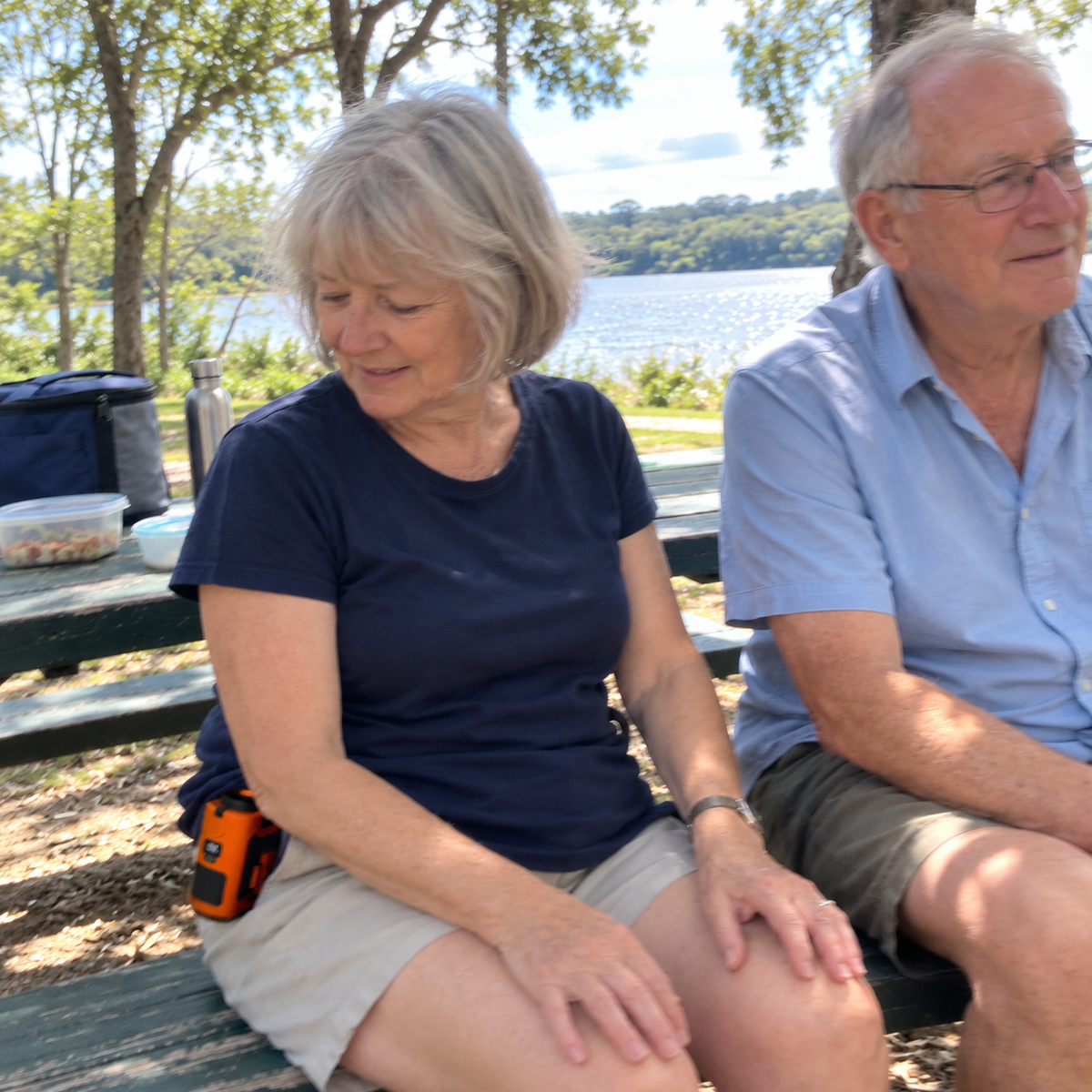 AI-generated phone-photo concept: older couple at a lakeside picnic with an Orange fan